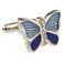 lt blue butterfly.JPG